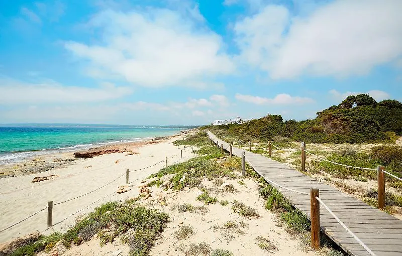 ** Guest house Insotel Es Pi Dos Playa Migjorn Spain